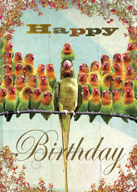 Happy Birthday Parrots Greeting Card by Max Hernn
